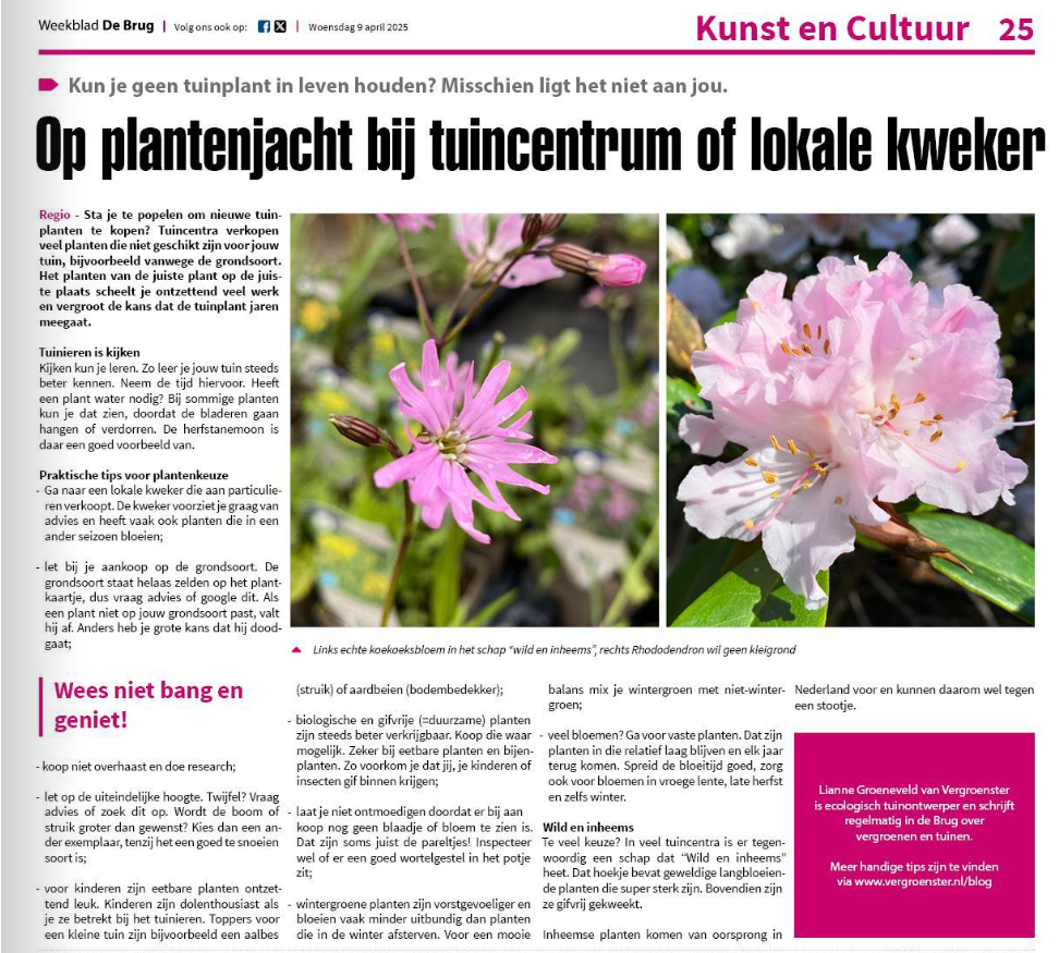 Tuinplanten kopen bij tuincentrum of lokale kweker