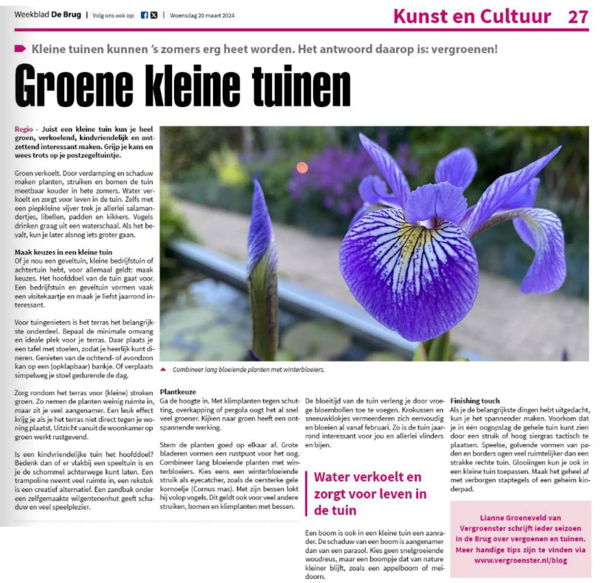 Weekblad de Brug groene kleine tuinen