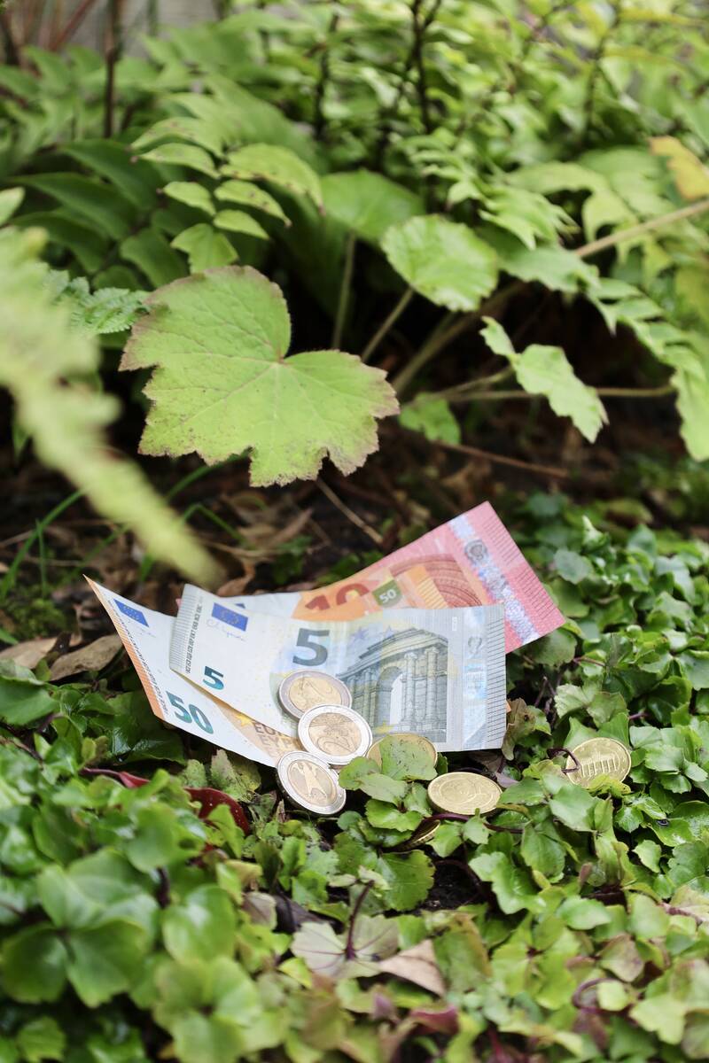 Budgetvriendelijke tuin