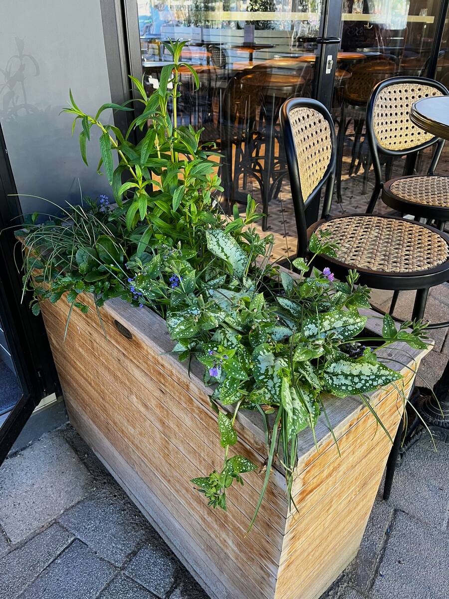 Tuinieren in bloempotten lastiger