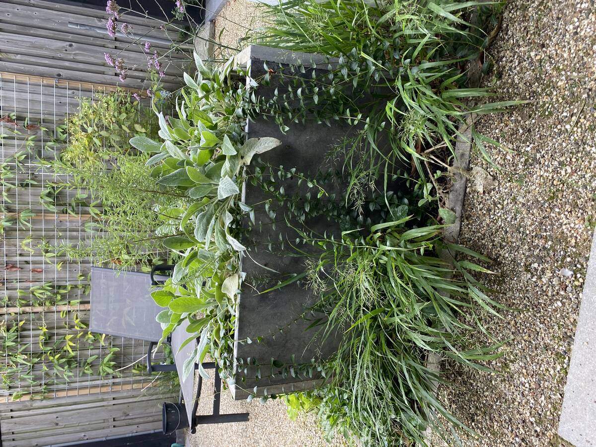 hergebruik tegels plantenbak