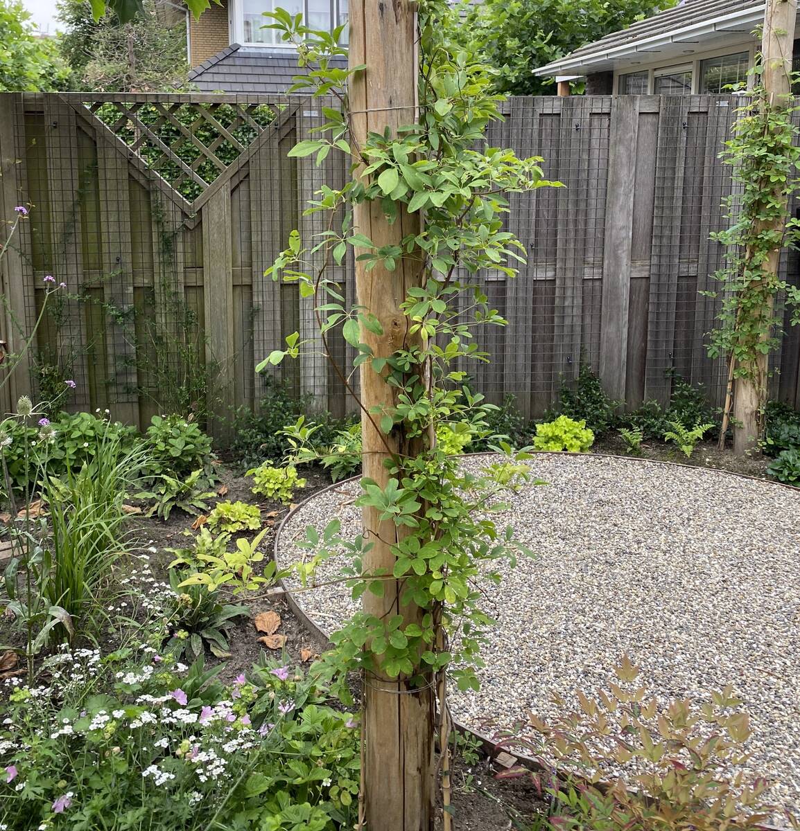 Pergola met klimplant