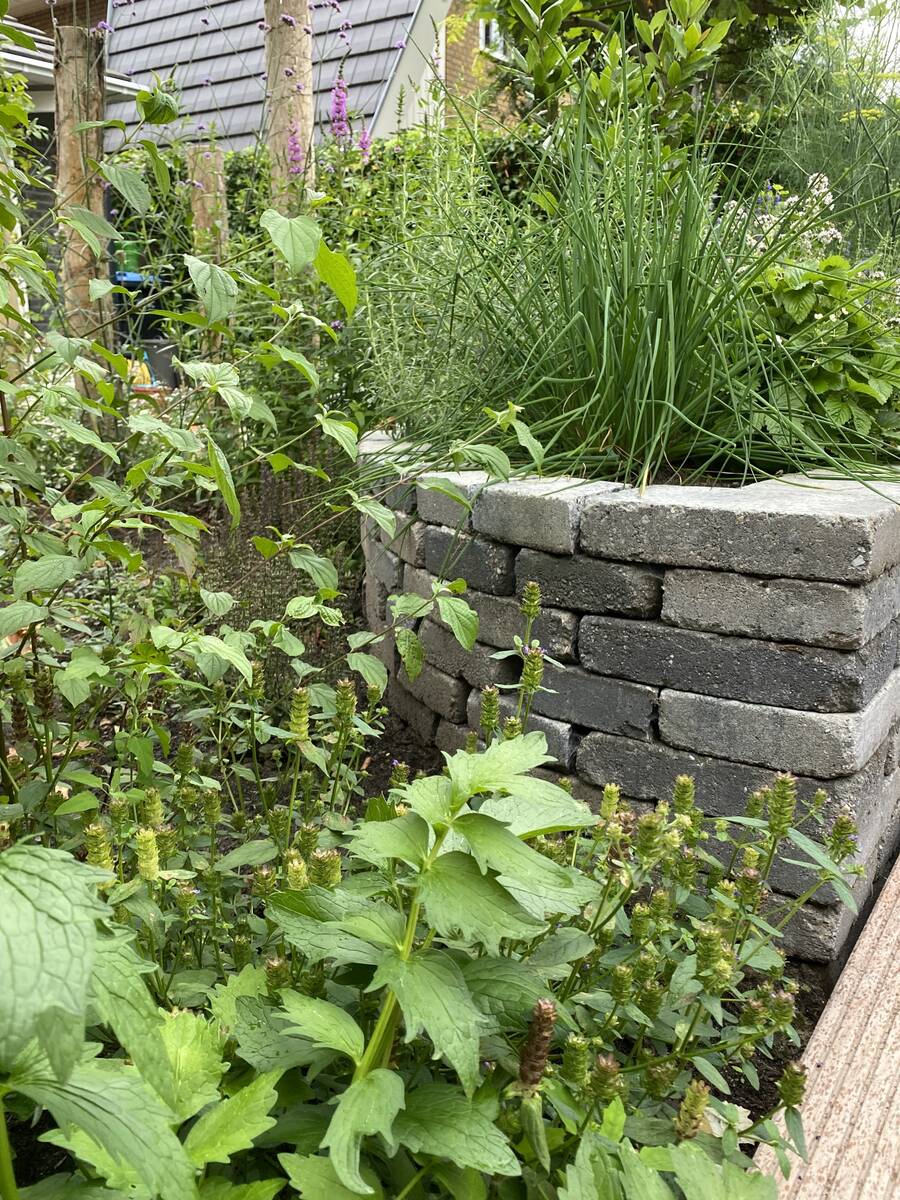 Tuinaanleg verhoogde plantenborder kruidenbak.