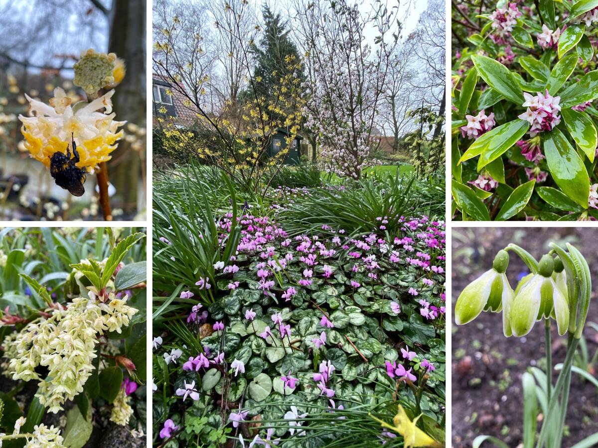 Wintertuin in Dordrecht