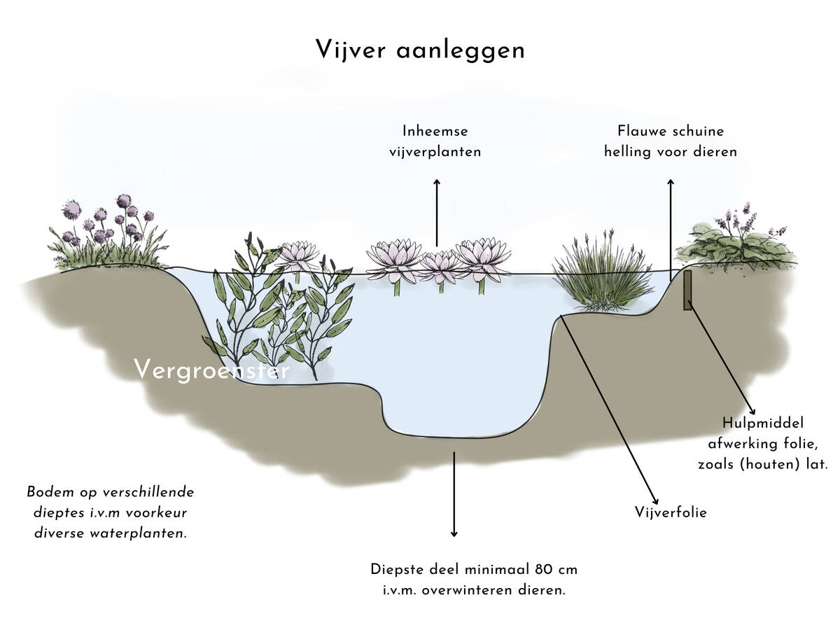 Afwerking vijverrand